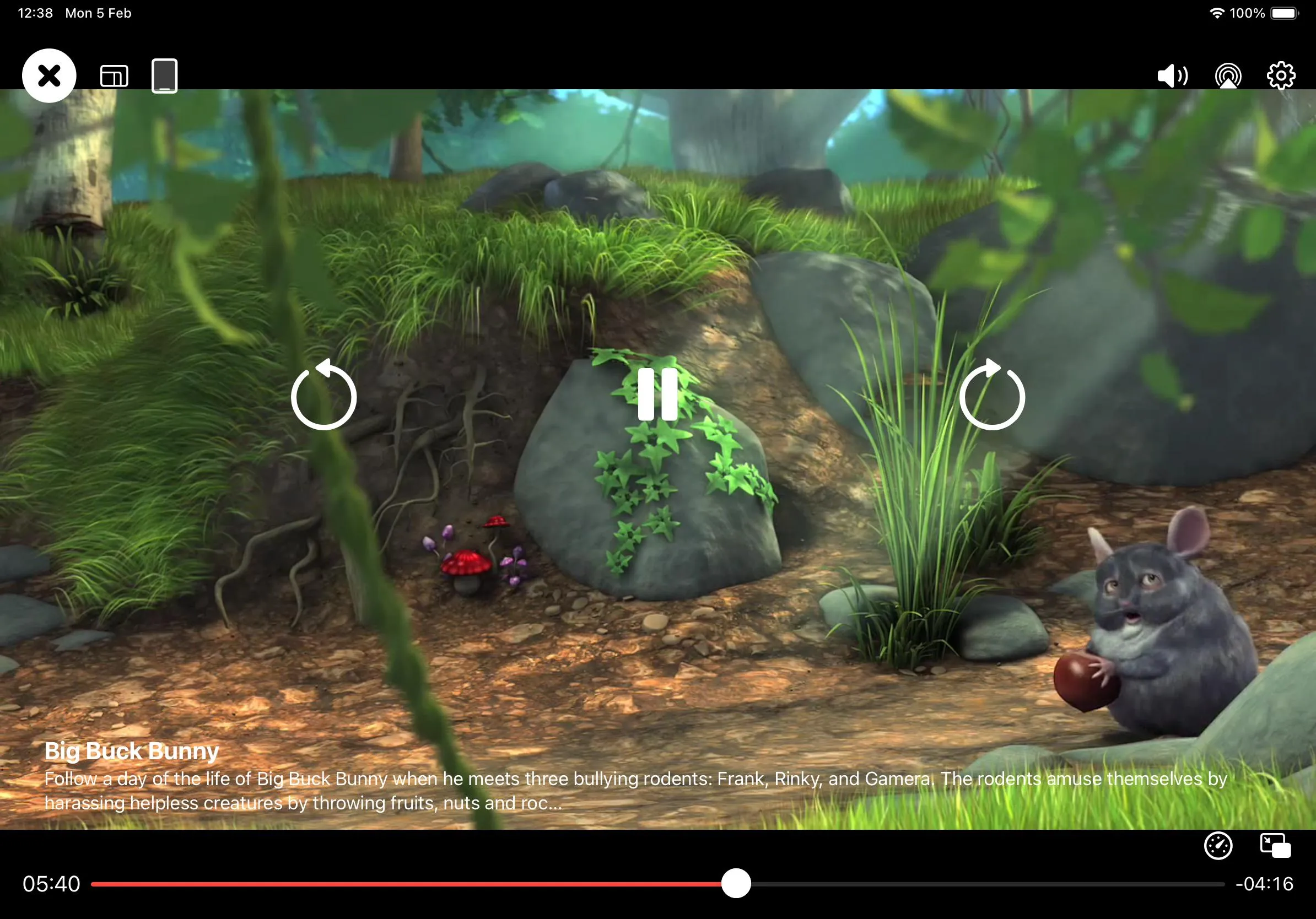 iPad Playback